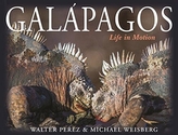  Galapagos
