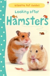  Looking after Hamsters