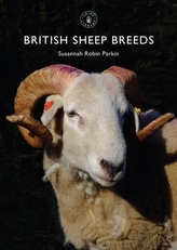  British Sheep Breeds