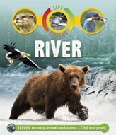  Life Cycles: River