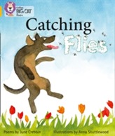  Catching Flies