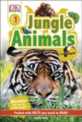  Jungle Animals