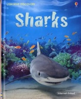  Sharks