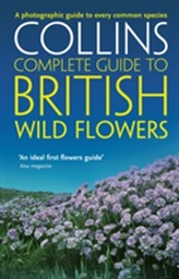  British Wild Flowers