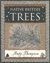  Native British Trees