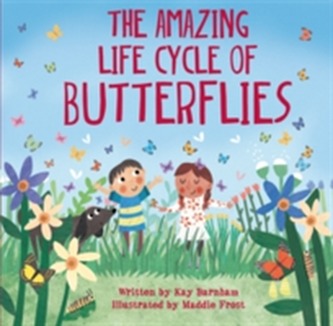 Look and Wonder: The Amazing Life Cycle of Butterflies  Look and Wonder: The Amazing Life Cycle of Butterflies