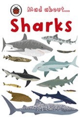  Mad About Sharks