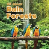  All About Rainforests