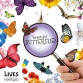  Beautiful Butterflies