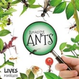 Amazing Ants