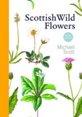  Scottish Wild Flowers