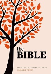  New Revised Standard Version Bible: Popular Text Edition
