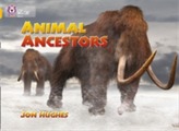  Animal Ancestors