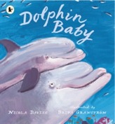  Dolphin Baby