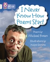  I Never Know How Poems Start