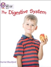 The Digestive System