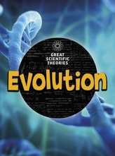  Evolution