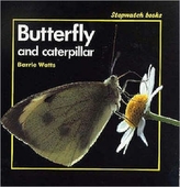  Butterfly and Caterpillar