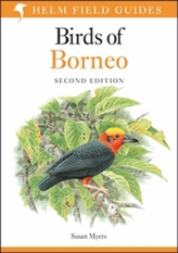 Birds of Borneo