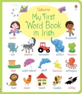  My First Word Book in Irish