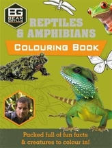  Bear Grylls Colouring Books: Reptiles