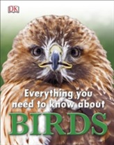  Everything You Need to Know About Birds