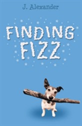  Finding Fizz