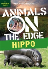  Hippo