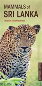  Mammals of Sri Lanka