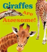  Giraffes Are Awesome!