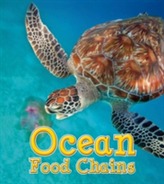  Ocean Food Chains