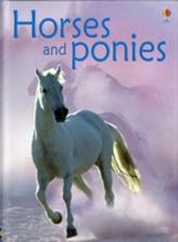  Horses And Ponies