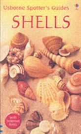  Shells