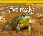  Animals