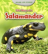 Life Story of a Salamander