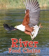  River Food Chains
