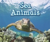  Sea Animals