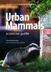  Urban Mammals