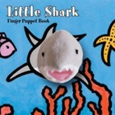  Little Shark