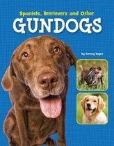  Spaniels, Retrievers and Other Gundogs