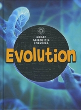  Evolution