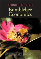  Bumblebee Economics