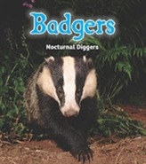  Badgers