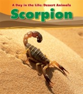  Scorpion