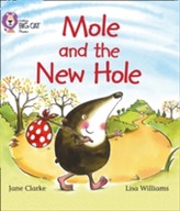  Mole and the New Hole