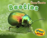  Beetles