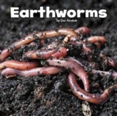  Earthworms