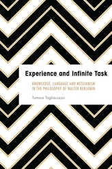 Experience and Infinite Task