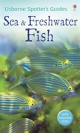  Sea and Freshwater Fish