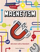  Magnetism